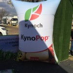 KynoPop
