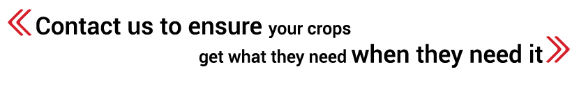 Kynoch-Call-to-Action-Text