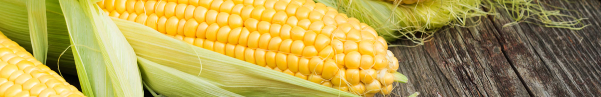 Crop Yield Enhancing