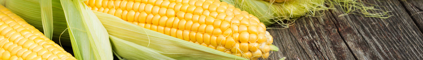 Crop Yield Enhancing