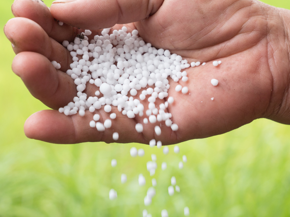Kynoch fertilizer